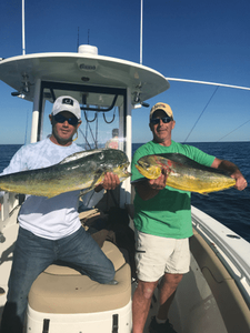 Mahi-Mahi from North Myrtle Beach, SC